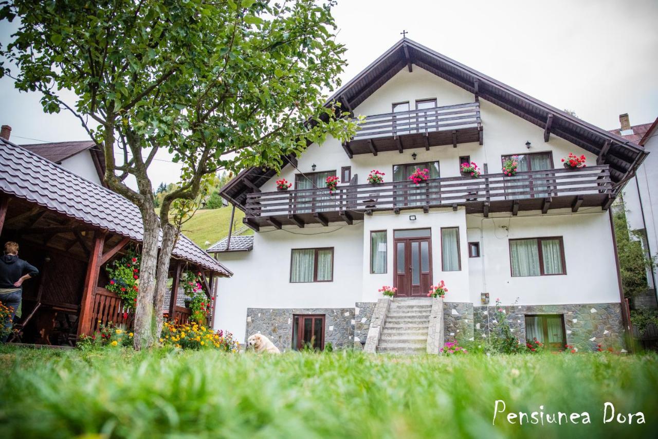 Apartamento Casa Dora Moeciu De Sus Exterior foto