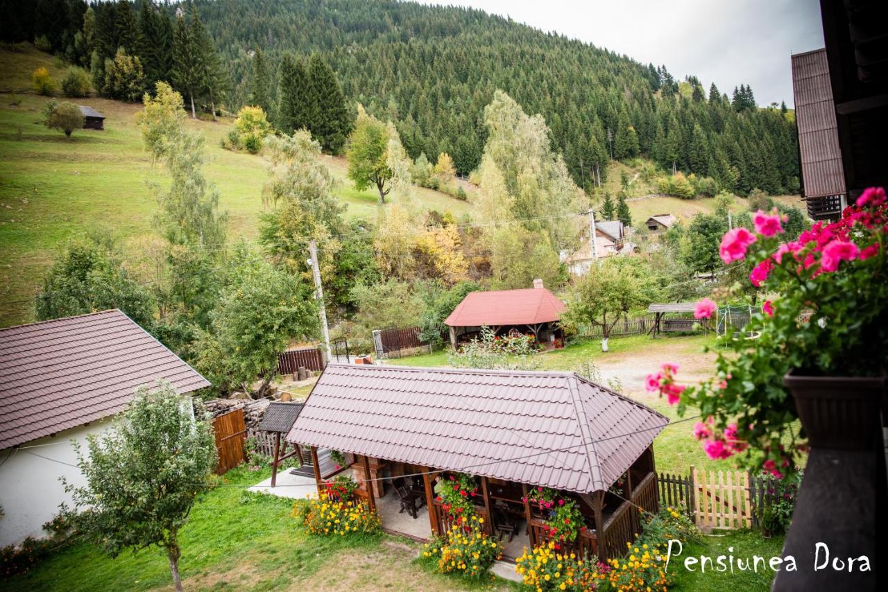 Apartamento Casa Dora Moeciu De Sus Exterior foto