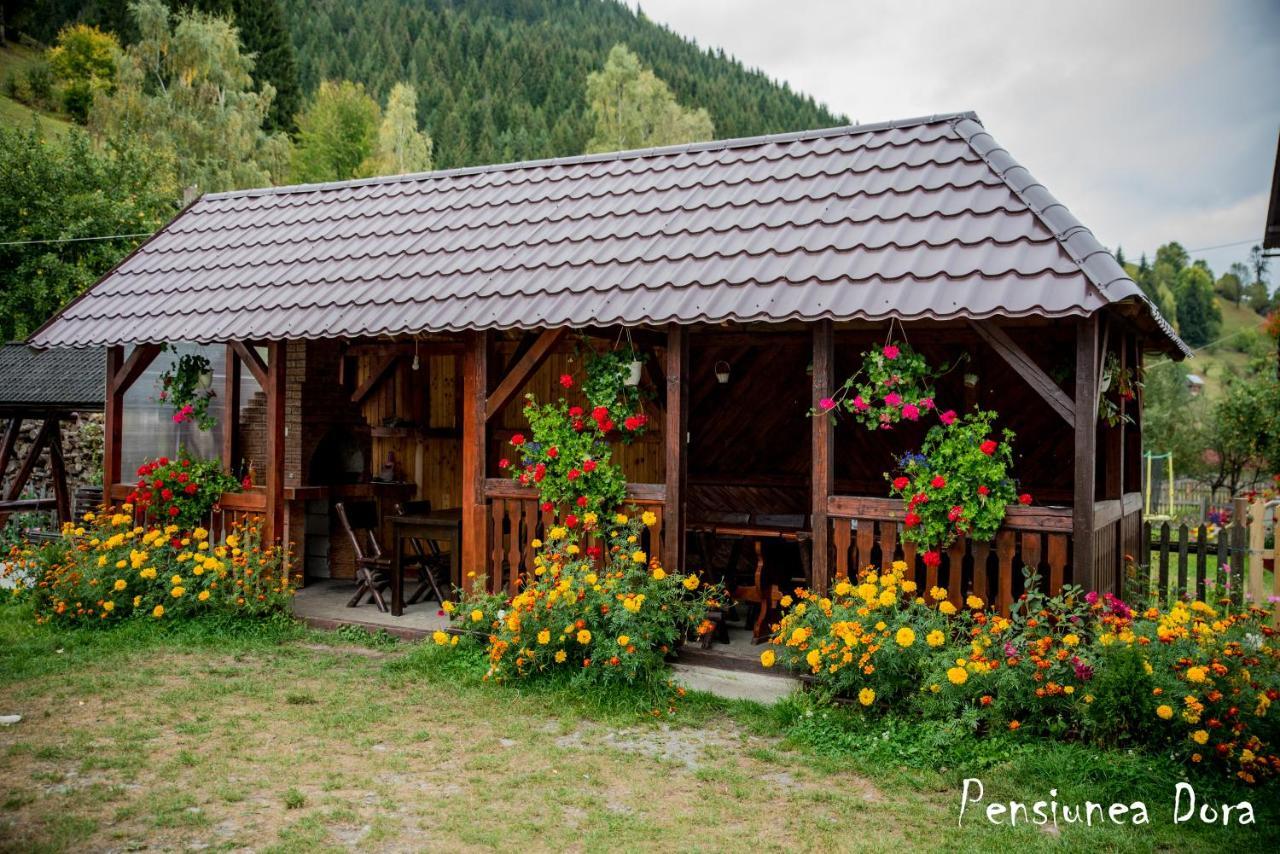 Apartamento Casa Dora Moeciu De Sus Exterior foto