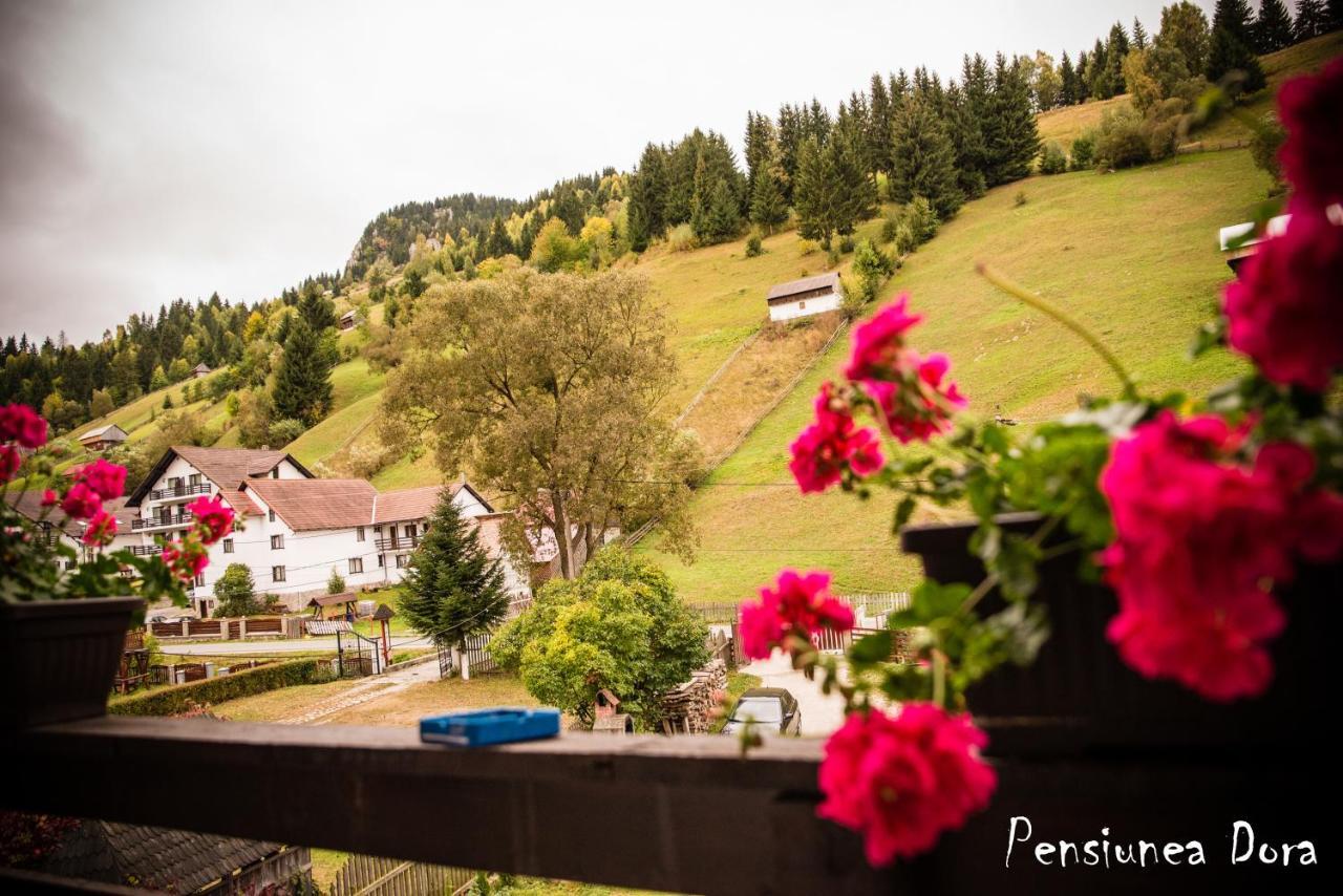 Apartamento Casa Dora Moeciu De Sus Exterior foto